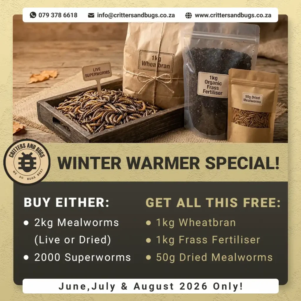 Critters And Bugs mealworm and superworm Promotion