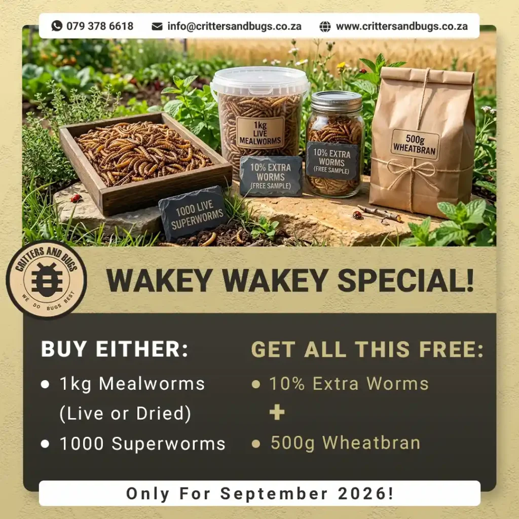 Critters And Bugs mealworm and superworm Promotion